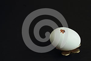 White egg with crack and black curious eye on metal stand in the shape of flower against dark background. Symbolic concept Ã¢â¬â the